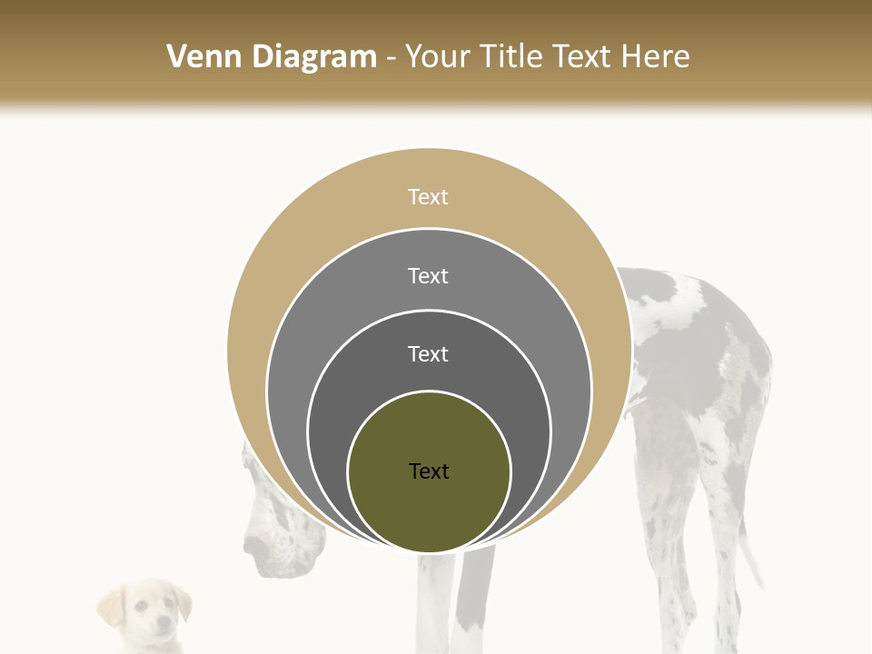 Large Domestic Mammal PowerPoint Template