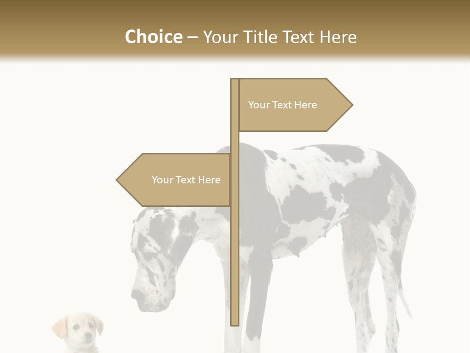 Large Domestic Mammal PowerPoint Template