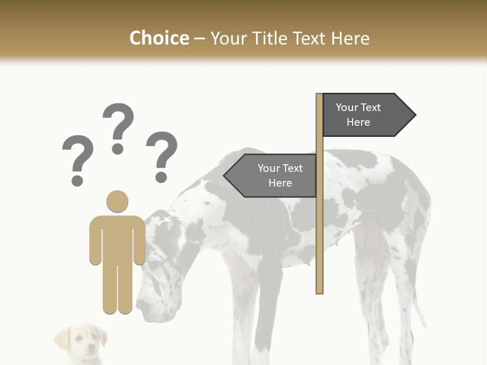 Large Domestic Mammal PowerPoint Template