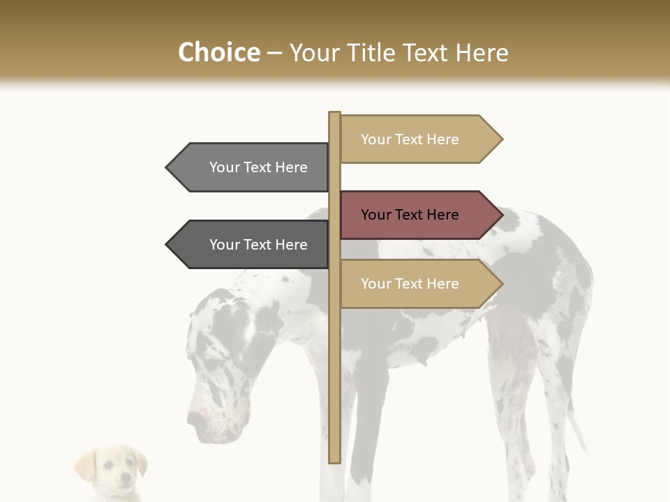 Large Domestic Mammal PowerPoint Template