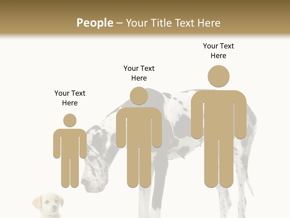 Large Domestic Mammal PowerPoint Template