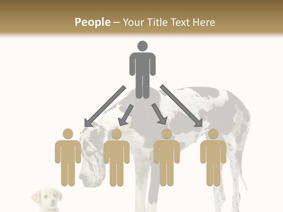 Large Domestic Mammal PowerPoint Template