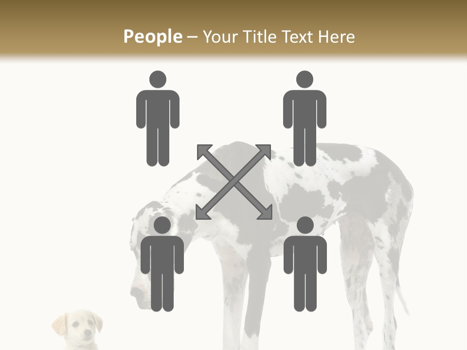 Large Domestic Mammal PowerPoint Template