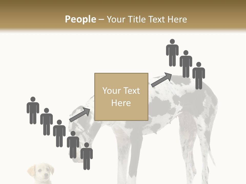 Large Domestic Mammal PowerPoint Template