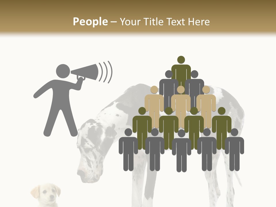 Large Domestic Mammal PowerPoint Template