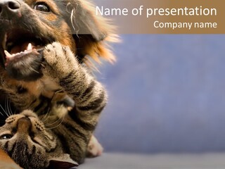 Face Young Pet PowerPoint Template