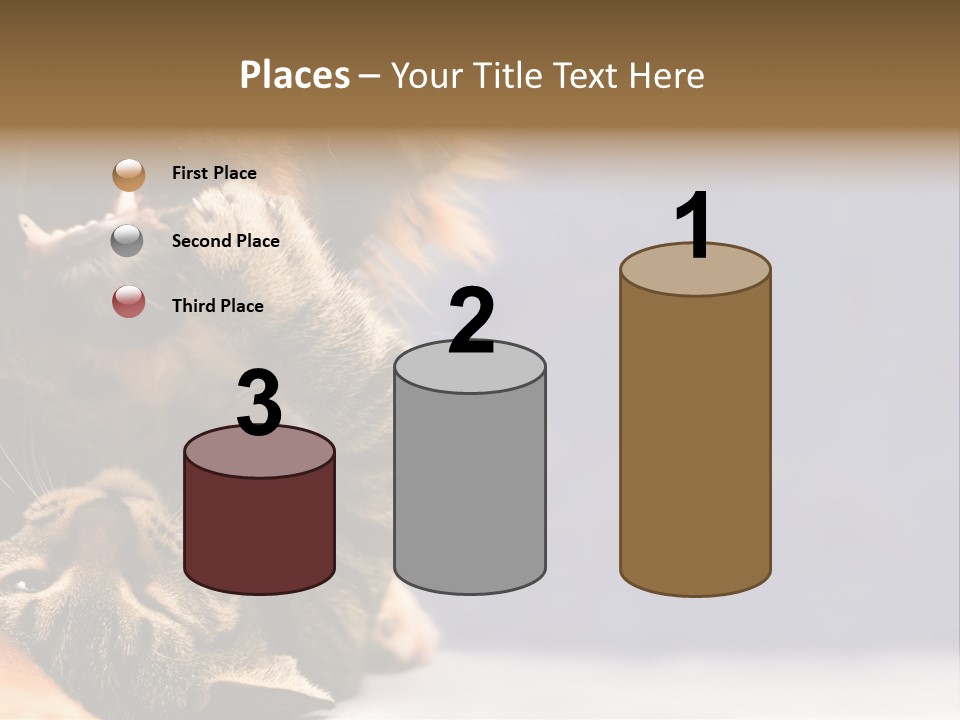 Face Young Pet PowerPoint Template