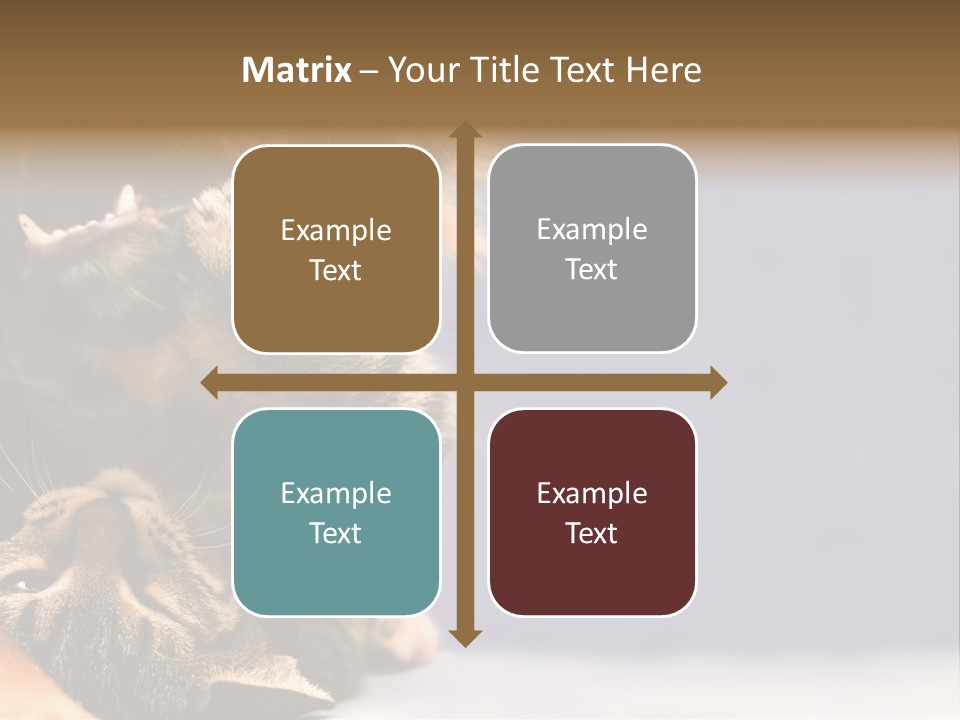 Face Young Pet PowerPoint Template