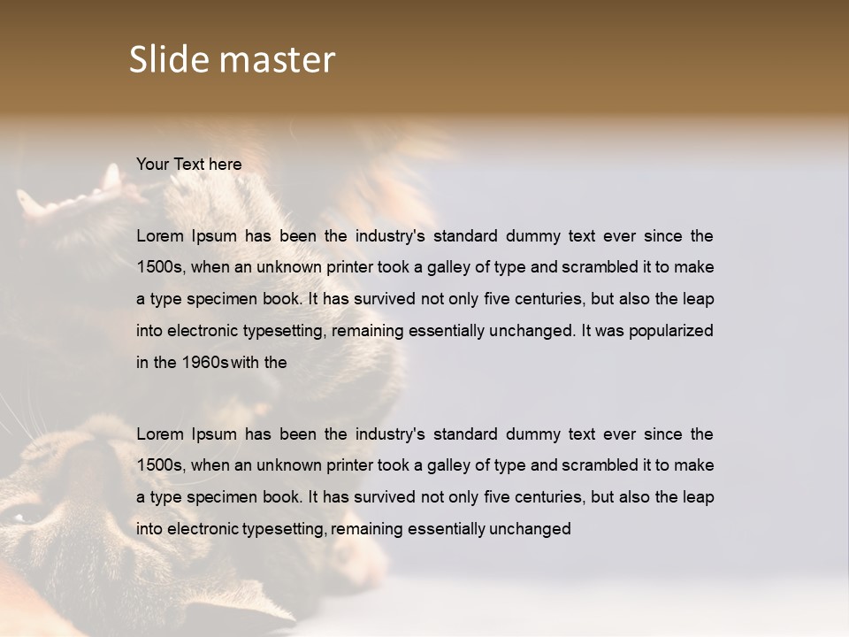 Face Young Pet PowerPoint Template