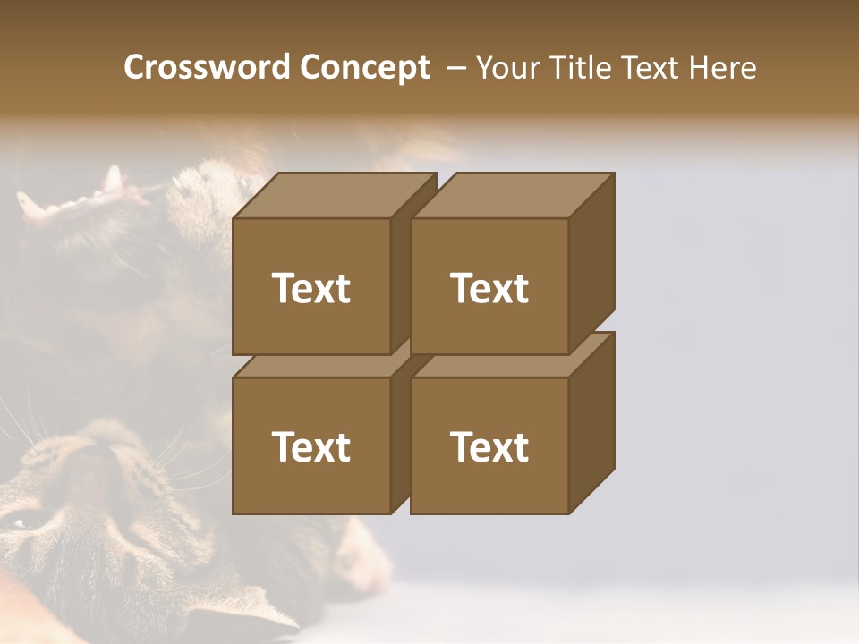 Face Young Pet PowerPoint Template