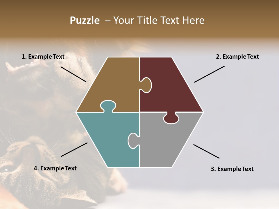 Face Young Pet PowerPoint Template