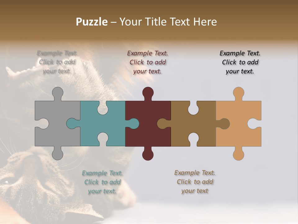 Face Young Pet PowerPoint Template