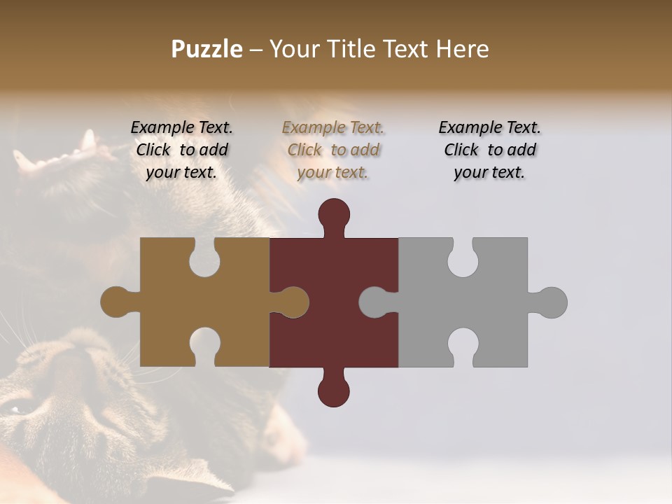 Face Young Pet PowerPoint Template