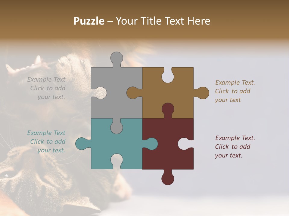 Face Young Pet PowerPoint Template