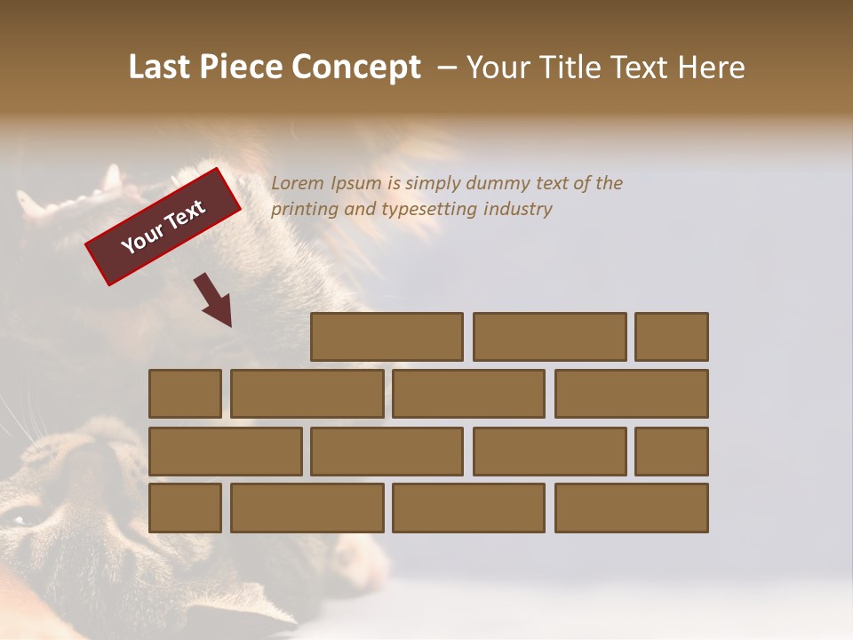 Face Young Pet PowerPoint Template