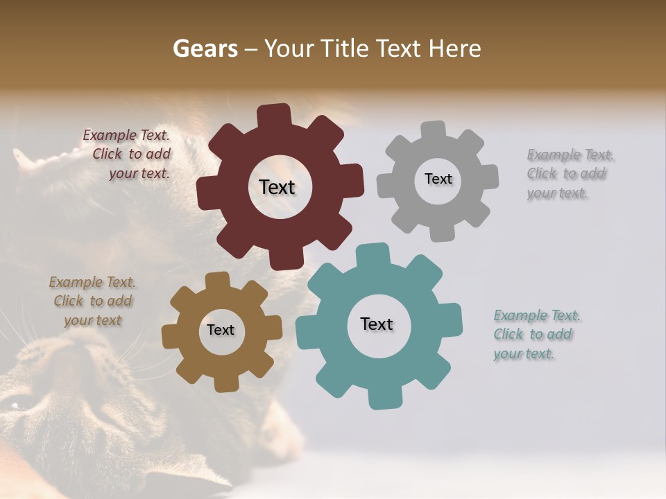 Face Young Pet PowerPoint Template