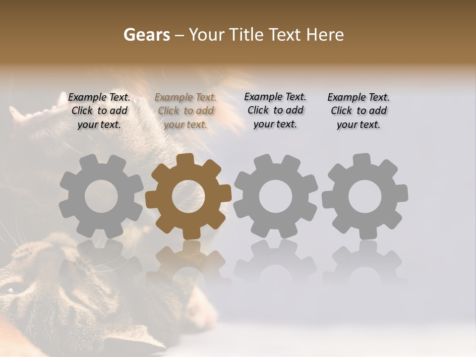 Face Young Pet PowerPoint Template