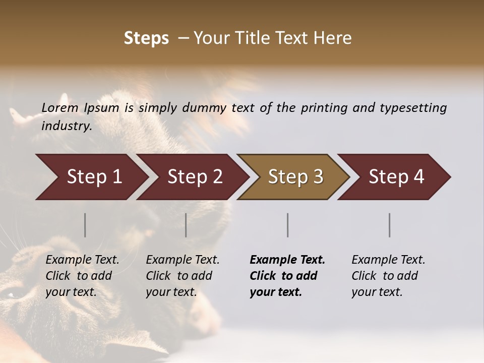 Face Young Pet PowerPoint Template