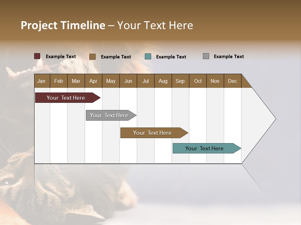 Face Young Pet PowerPoint Template