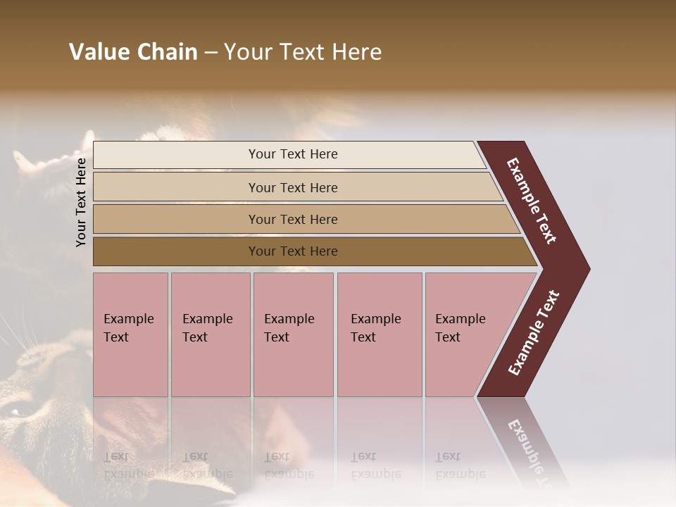 Face Young Pet PowerPoint Template