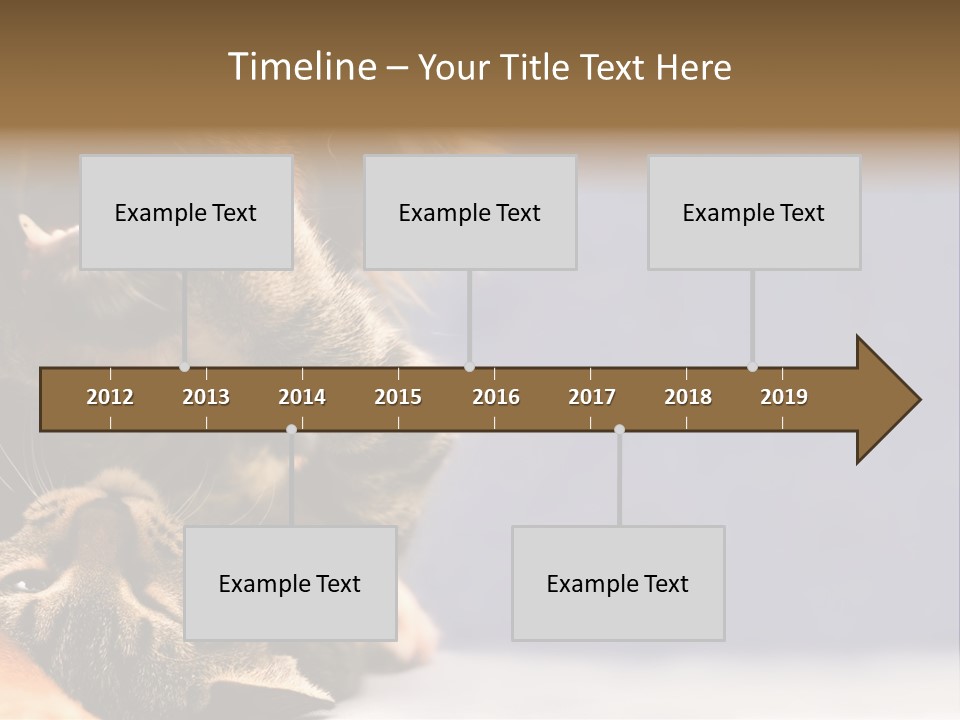 Face Young Pet PowerPoint Template