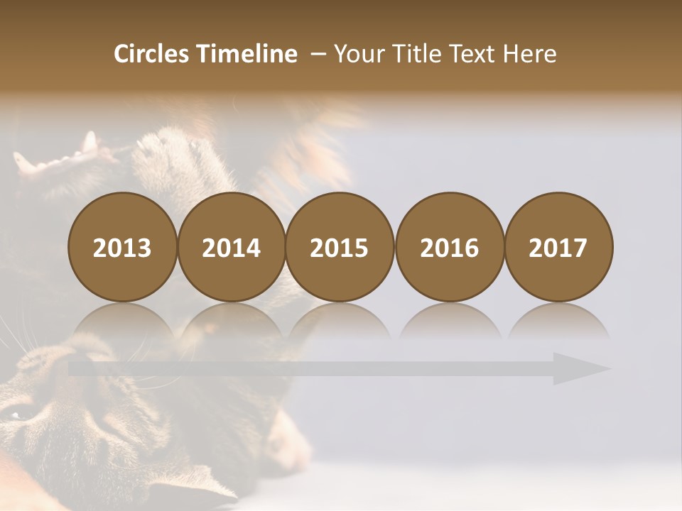 Face Young Pet PowerPoint Template