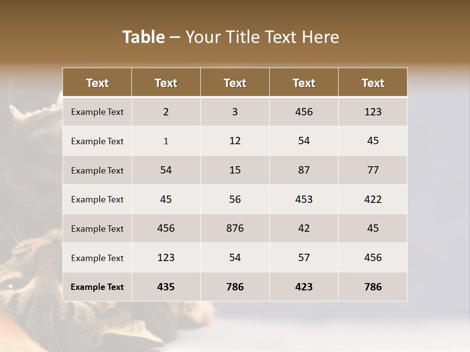Face Young Pet PowerPoint Template