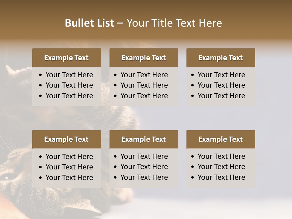 Face Young Pet PowerPoint Template