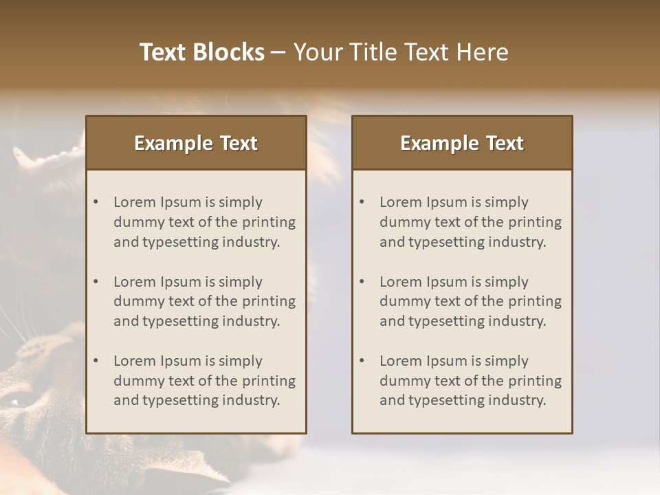Face Young Pet PowerPoint Template