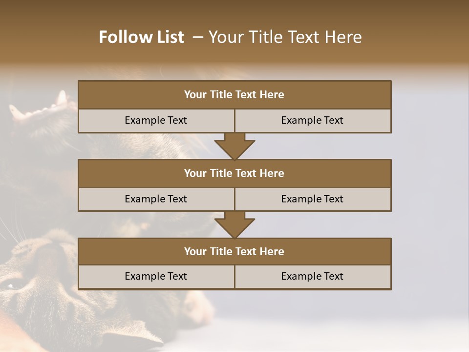 Face Young Pet PowerPoint Template
