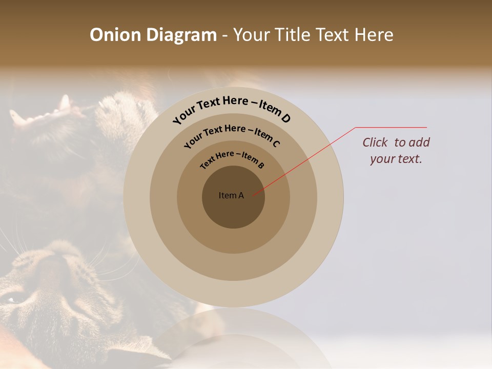 Face Young Pet PowerPoint Template