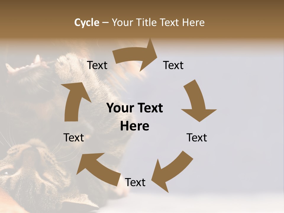 Face Young Pet PowerPoint Template