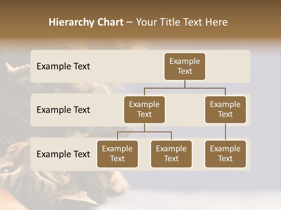 Face Young Pet PowerPoint Template