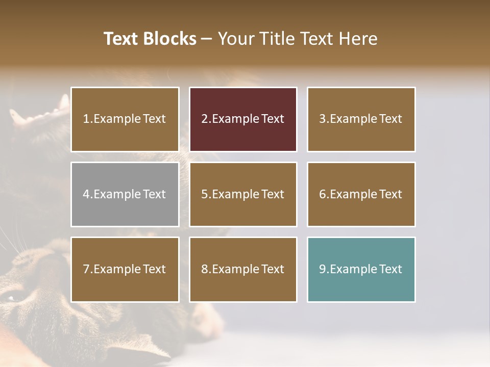 Face Young Pet PowerPoint Template