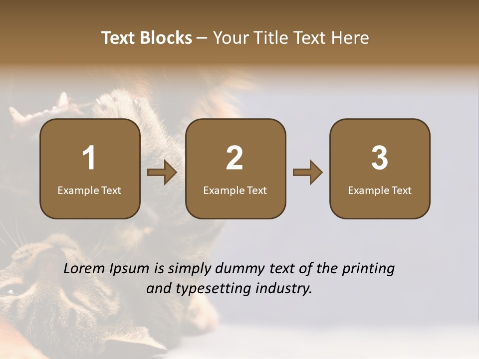 Face Young Pet PowerPoint Template