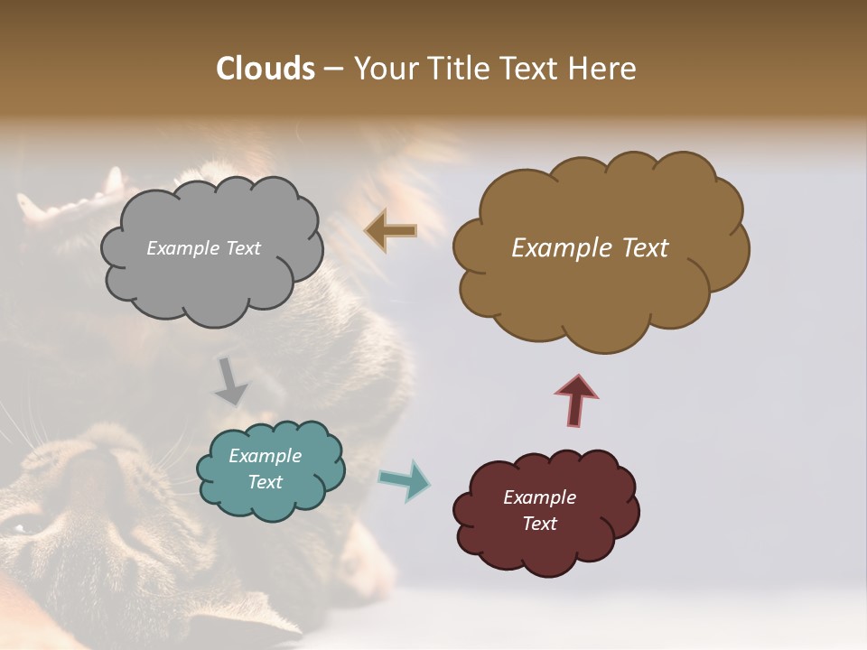 Face Young Pet PowerPoint Template