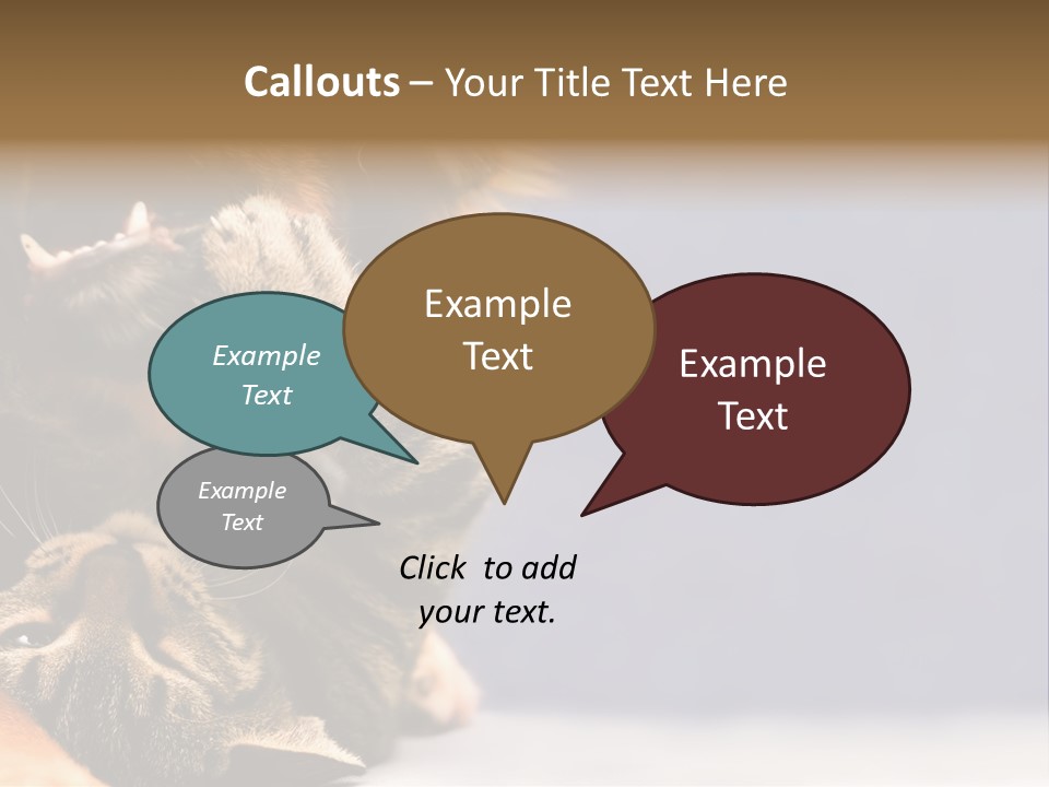 Face Young Pet PowerPoint Template