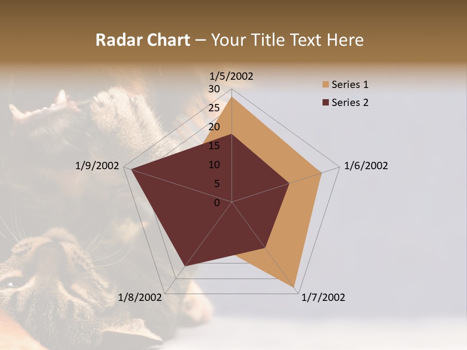 Face Young Pet PowerPoint Template