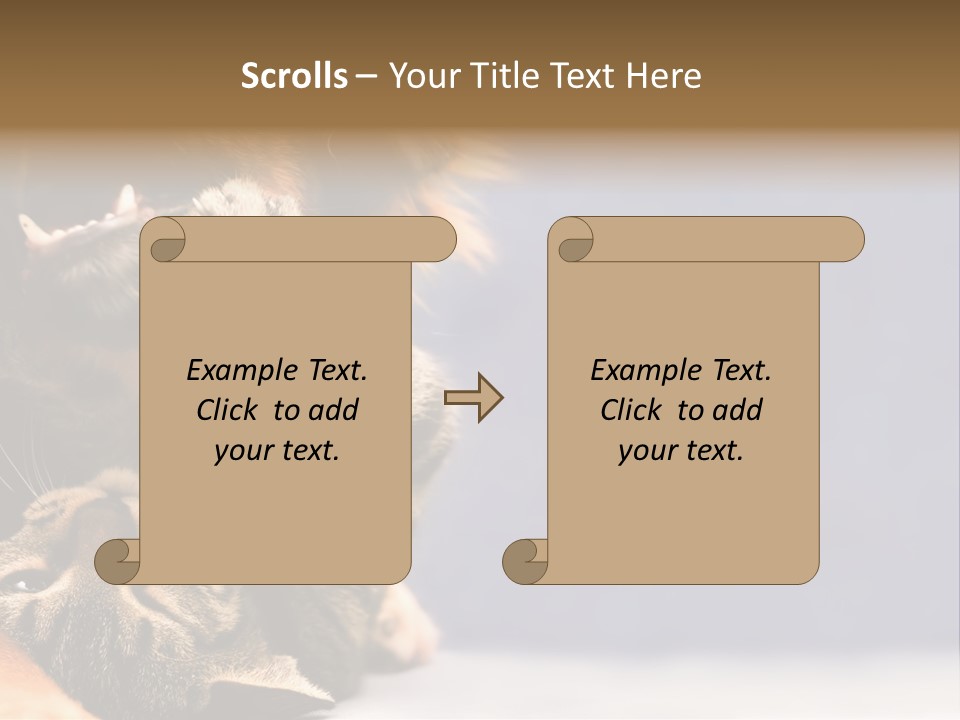 Face Young Pet PowerPoint Template