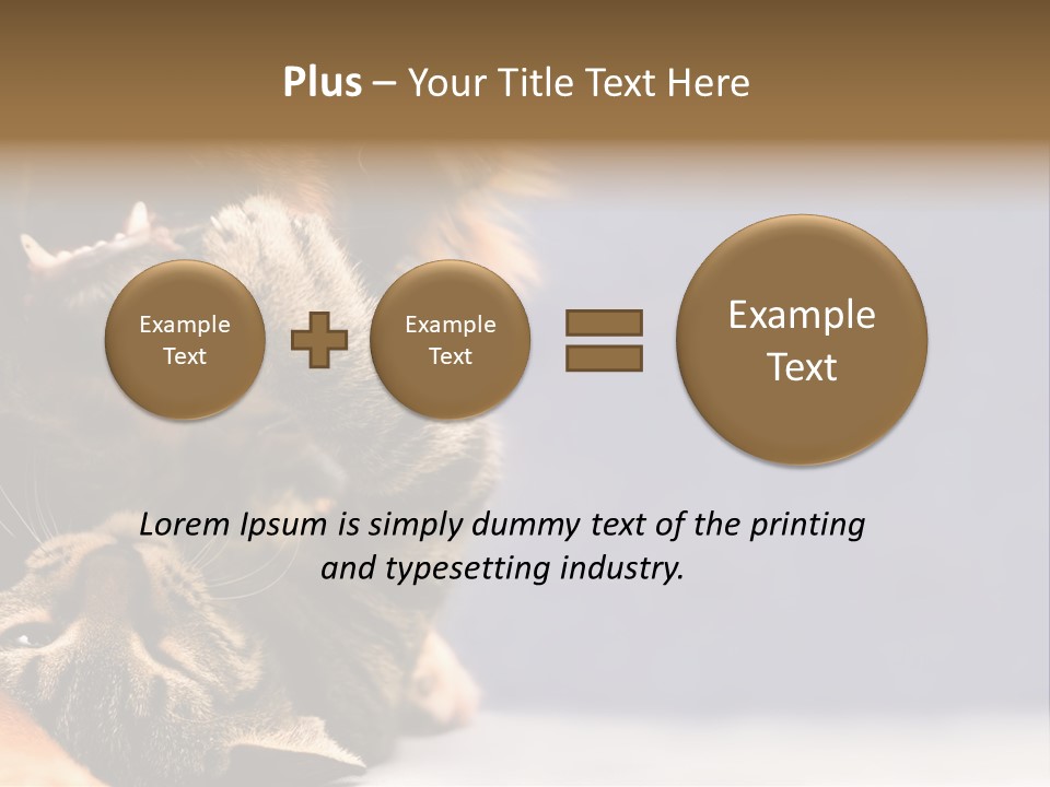 Face Young Pet PowerPoint Template