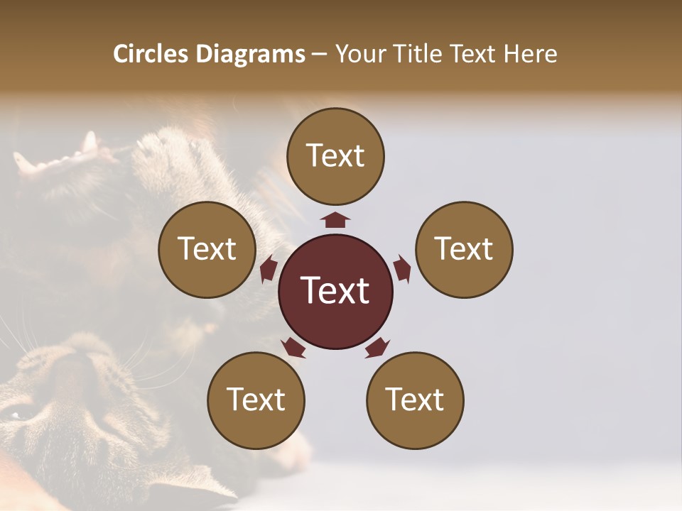 Face Young Pet PowerPoint Template