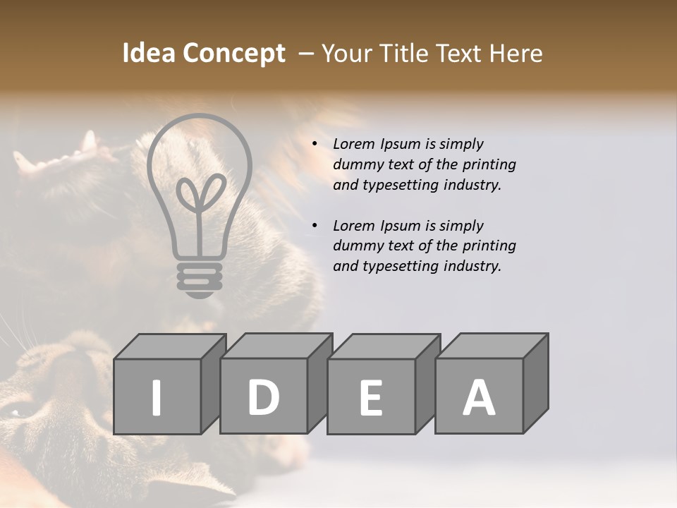 Face Young Pet PowerPoint Template