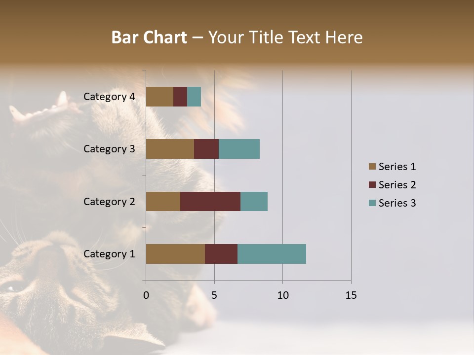 Face Young Pet PowerPoint Template