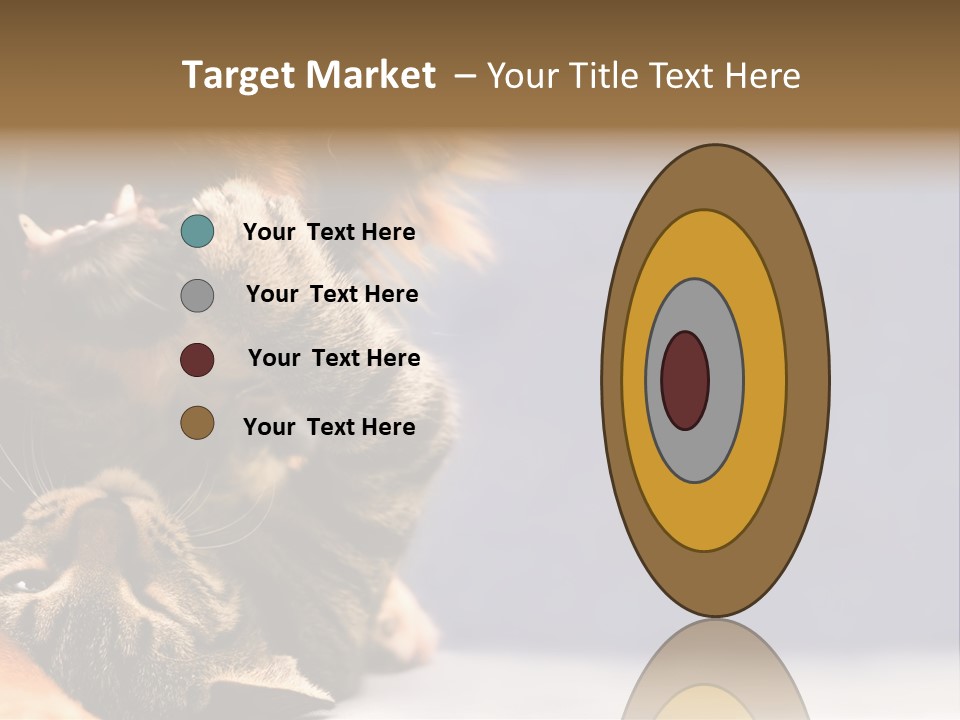 Face Young Pet PowerPoint Template