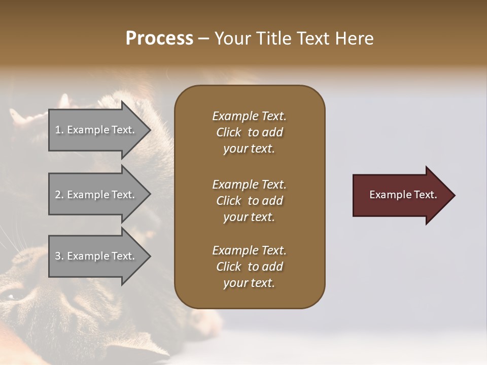 Face Young Pet PowerPoint Template
