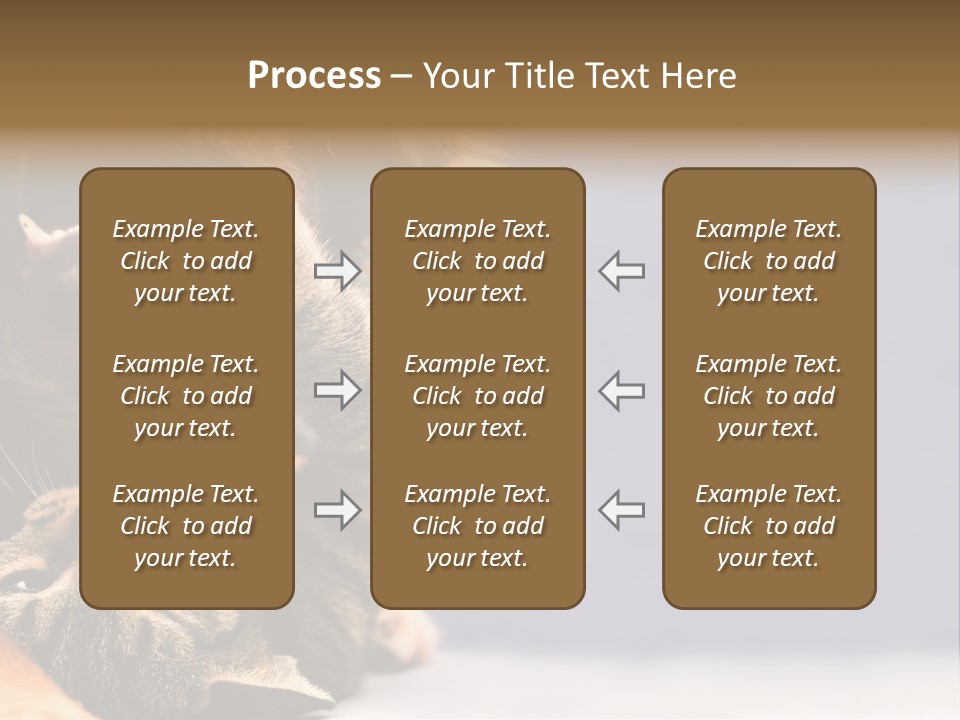 Face Young Pet PowerPoint Template