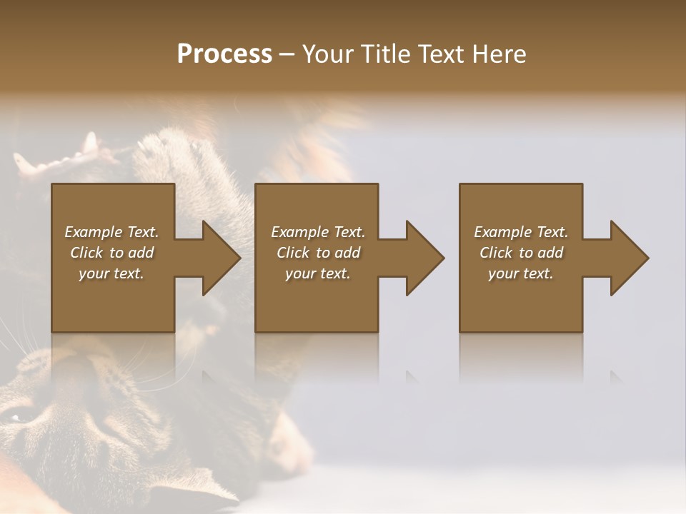 Face Young Pet PowerPoint Template