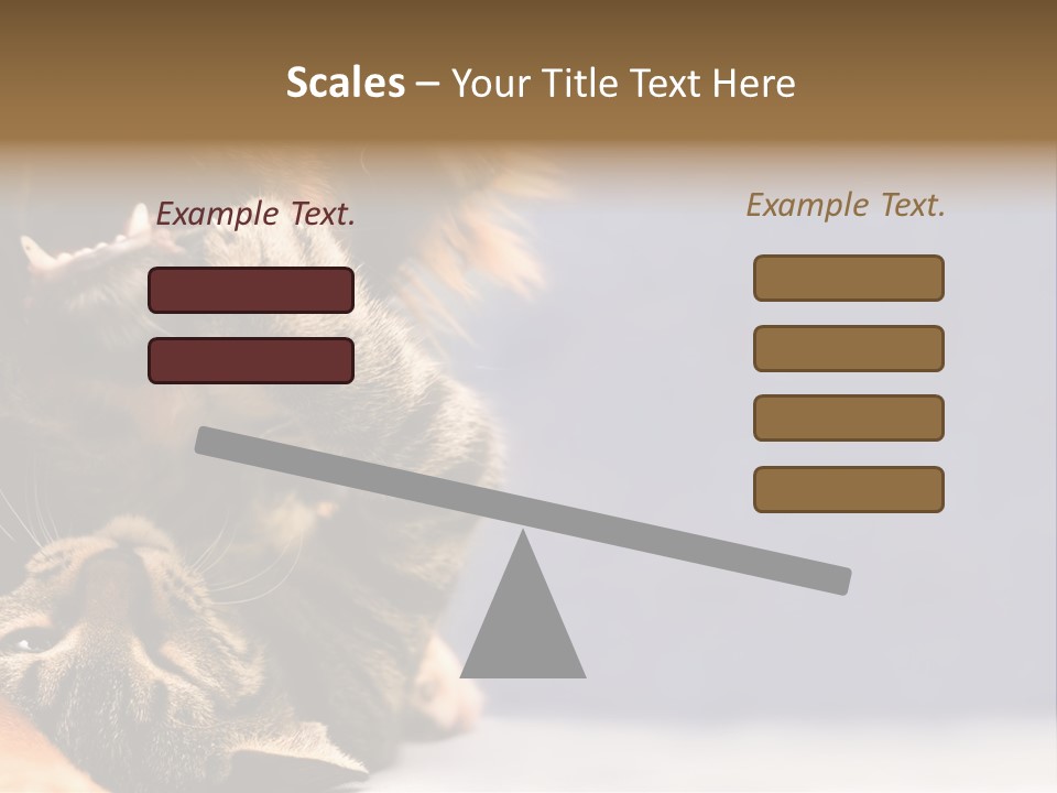 Face Young Pet PowerPoint Template