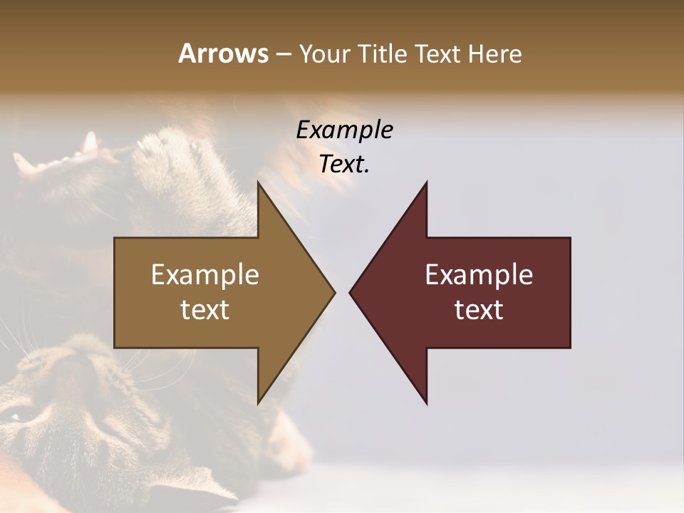 Face Young Pet PowerPoint Template