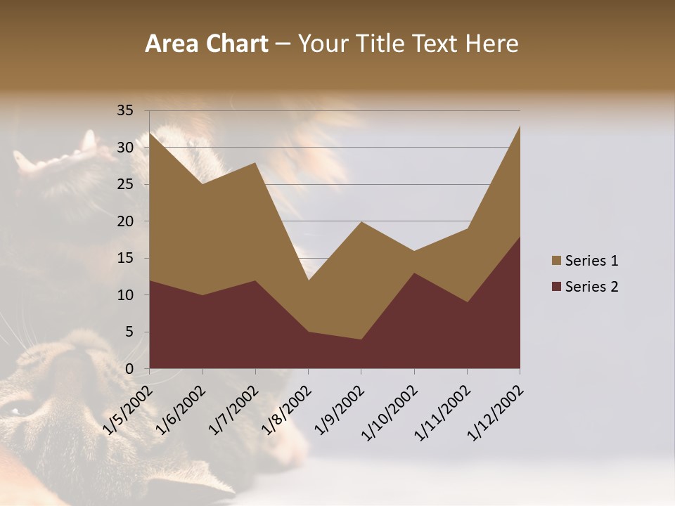 Face Young Pet PowerPoint Template